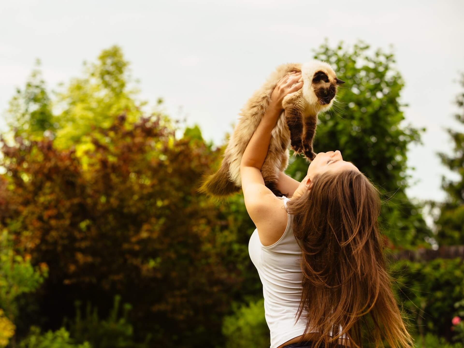 shutterstock_1035717526