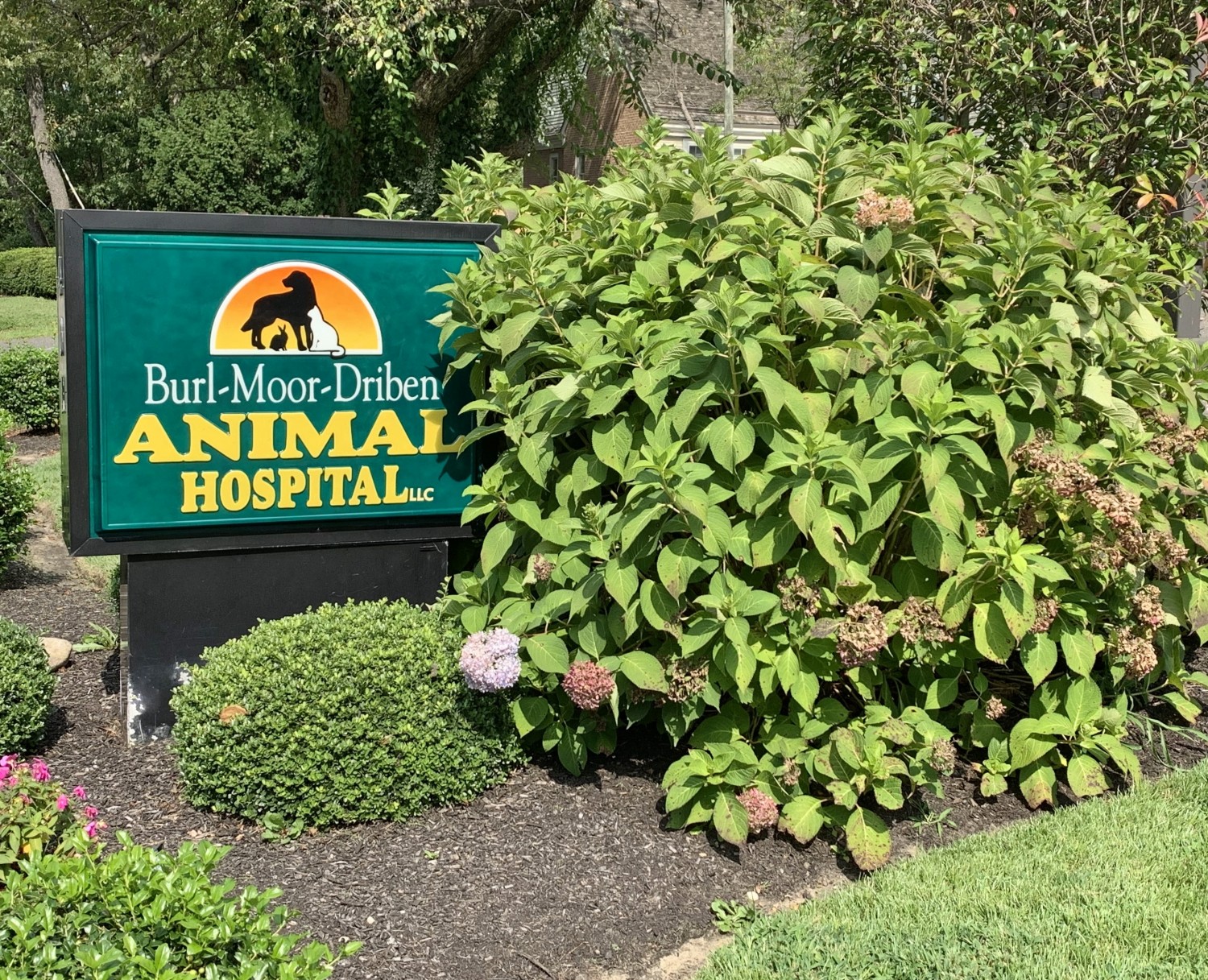 Burl-Moor-Animal Hospital in Moorestown, NJ